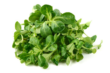 Fresh Lamb's Lettuce, isolated on white background.