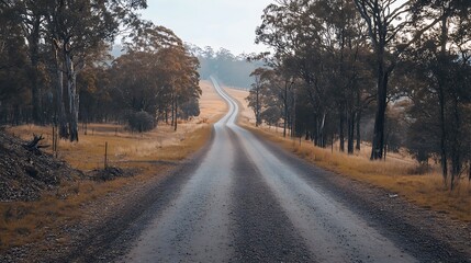 Fototapeta premium Winding Country Road Through Autumnal Woods