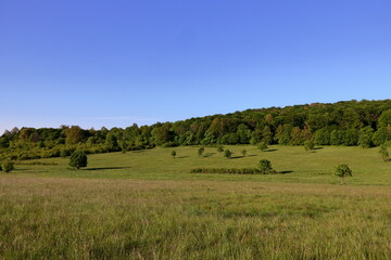 Beautiful spring landscape with bright colors.