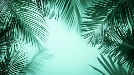 Tropical Palm Leaves Teal Background Minimalist Summer Design