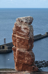 Die lange Anna von Helgoland mit der Kolonie der Basst&ouml;lpel im Herbst.