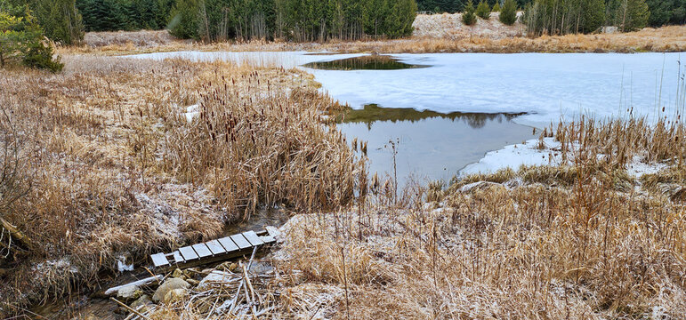 At the back of a farm, a partially frozen pond surrounded by trees, grasses and cattails and a small broken wood bridge near a stream at one end of the pond all covered with a dusting of snow. - Powered by Adobe