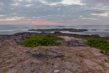 Dawn on the Caribbean coast of Riviera Maya Yucatan Mexico