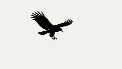 Majestic bird in flight, depicted as a black silhouette with outstretched wings.