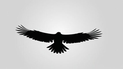 Obraz premium Artistic eagle silhouette with detailed feathers and sharp claws in flight.