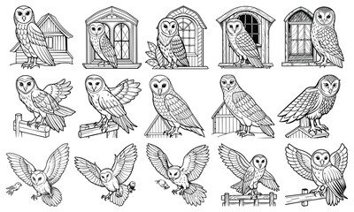 Obraz premium Barn Owl Drawing for Kids, Line Art for Adults, Isolated on White, Ideal for Early Learning, Fun Toddler Activity, Creative Art, Great for Kids' Activity Books and Educational Art Fun.