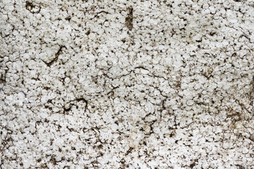 Plastic abstract texture. Surface grunge backdrop. Dirty effect pattern. Material background.