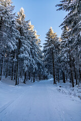 Romantische Winterwanderung auf den höchsten Gipfel vom Rennsteig - der Schneekopf bei Schmiedefeld im Abendlicht - Thüringen - Deutschland
