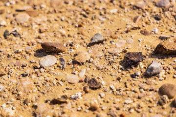 Wadi al Hitan, Faiyum, Egypt. Close up view of the desert floor at Wadi el-Hitan paleontological site.