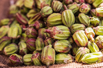 Thebes, Luxor, Egypt. Fresh okra for sale at a market.