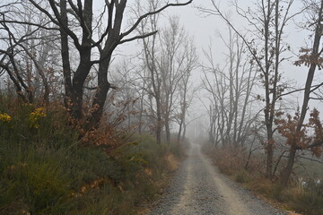 Villardeciervos , Zamora