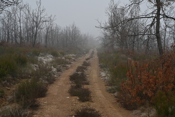 Villardeciervos , Zamora