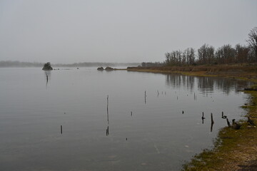 Villardeciervos , Zamora