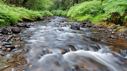 Obraz premium Serene Forest Stream Flowing Over Rocks, Lush Greenery