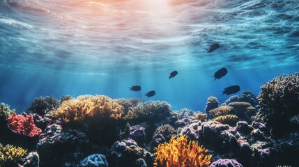 Stunning Underwater Coral Reefs: A Vibrant Ocean Ecosystem