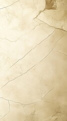 Neutral-toned cracked stone texture with subtle earthy details and natural lines