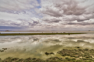 Lake Amboseli, Amboseli National Park, Africa
