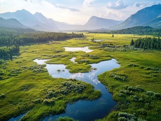 Fototapeta premium breathtaking aerial photography of pristine wilderness landscape with diverse flora and dramatic natural terrain in ultra high resolution