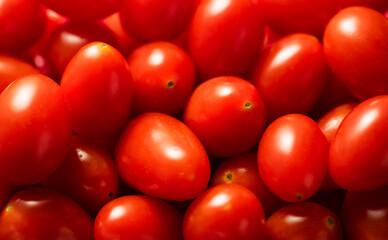 Tomato background. Cherry tomatoes Fresh Ripe natural little tomatoes close-up, backdrop. Organic tomato Macro shot. Garden, Gardening concept. Ketchup, pasta, sauce ingredient