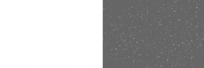 Falling snow isolated on transparent background. snow png, Heavy light snowfall, snowflakes Snow flakes, snow background. snow png