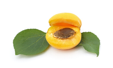 Ripe apricot with seeds.