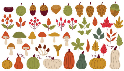 Big set of cartoon autumn design elements in flat style. Nuts and cones, mushrooms and berries, pumpkins and leaves. Fall harvest collection.