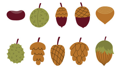 Cute cartoon autumn nuts and cones collection. Flat style fall harvest set. Cozy autumn design elements.