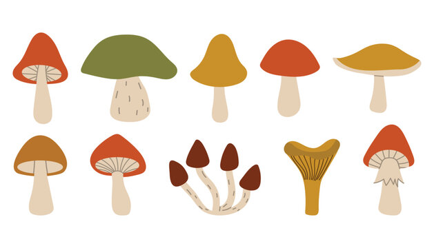 Cute cartoon autumn mushrooms collection. Fall forest mushrooms harvest in simple flat style.