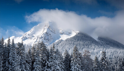 Obraz premium snow and clouds cowl the peak of a mountain in a harsh iciness landscape with spruce timber at the slopes