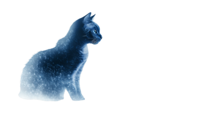 Abstract blue cat with bokeh light effects in the background isolated on white background