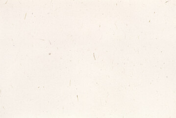 FEUILLE DE PAPIER BEIGE CLAIR AVEC FIBRES DE PAILLE