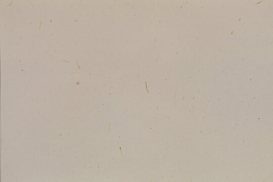 FEUILLE DE PAPIER BEIGE AVEC FIBRES DE PAILLE