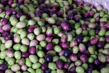 Fes, Morocco. Local olives for sale