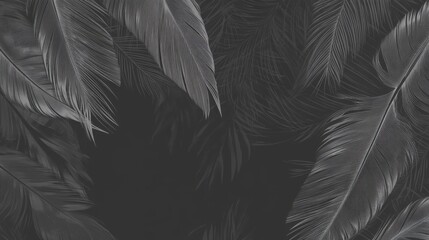 Stunning Monochrome Feather Design: A Detailed Look at Bird Feather Structures