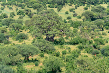 Africa, Tanzania. Vistas to be seen in Tarangire National Park.