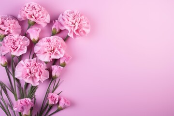 Fototapeta premium Beautiful pink carnation flowers creating a border on a pink background, offering ample copy space for text or design elements