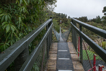 The Buller river flowing through the forest covered upper Buller Gorge  near the longest suspension bridge in NZ