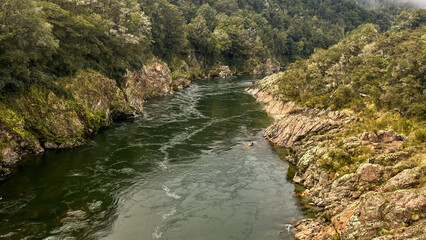 The Buller river flowing through the forest covered upper Buller Gorge  near the longest suspension bridge in NZ