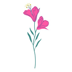 Beautiful flowers, capturing essence of spring and nature's beauty in simplistic style. Elegant wildflower isolated on transparent background. Stylized plant  design. Hand drawn vector illustration.