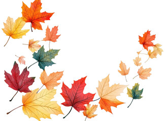 maple autumn leaves on white isolated background