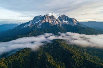 Majestic mountain peak rises above dense forest and wispy clouds at sunrise in stunning natural landscape