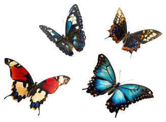 Naklejka premium PNG Butterflies flying butterfly background insect.