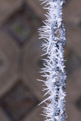 spiky ice crystals icicles along a chain after freezing fog