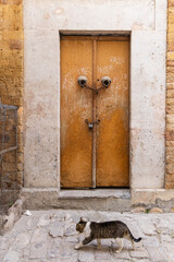 Tunis, Tunisia. Cat passing a graffitied metal door.