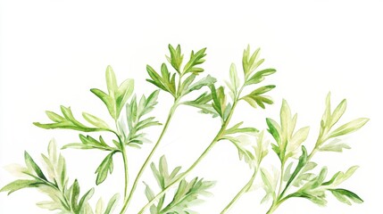 Delicate Watercolor Botanical Illustration of Fresh Green Leaves