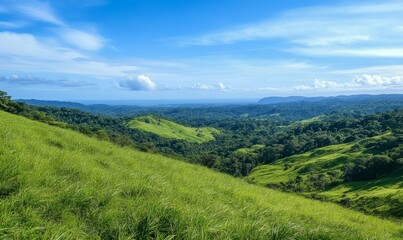 Obraz premium Lush green hillside with a clear blue sky in the background. Concept of tranquility and serenity, as the vast expanse of green grass stretches out as far as the eye can see
