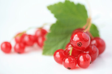 Red currant berries and leaf on white background