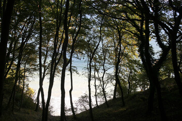 View from the cliffs to the Baltic Sea