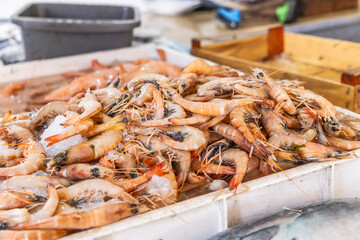 Djerba, Medenine, Tunisia. Fresh shrimp in a fish market at the Houmt Souk.