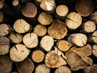 stack of firewood